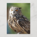 Pesquisar por pontilhado cartoes postais Qualquer pessoa