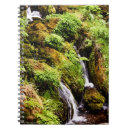 Pesquisar por musgo cadernos de notas Pedra