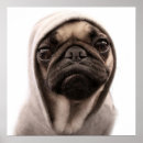 Pesquisar por hoodies pósteres Cão