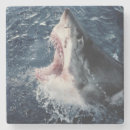 Pesquisar por elevado porta copos Horizontal