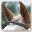 Pesquisar por orelha porta copos Para todos