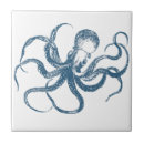 Pesquisar por cefalópode azulejos Oceano