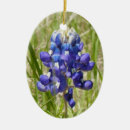 Pesquisar por pintura digital ornamentos Flor