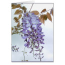 Pesquisar por glicínias cartoes postais Lilac