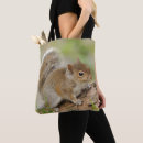 Pesquisar por imagem da cor bolsas Fotografia