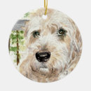 Pesquisar por terrier do wheaton Macio