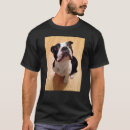 Pesquisar por camisas do terrier de boston camisetas Animais de estimação