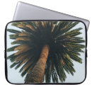 Pesquisar por los angeles capas Praia