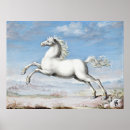 Pesquisar por white horse pôsteres pósteres Qualquer pessoa