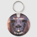 Pesquisar por llama chaveiros Palavras