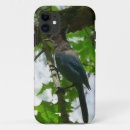 Pesquisar por jay iphone capas Natureza