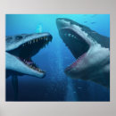 Pesquisar por megalodon artes pósteres Para todos