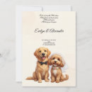 Pesquisar por golden retriever convites Fofo