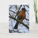 Pesquisar por aves canoras cartoes Pássaro