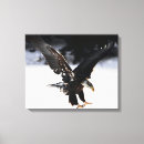 Pesquisar por da águia impressão impressão de canvas Predador