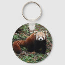 Pesquisar por panda chaveiros Porcelana