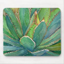 Pesquisar por plants eletronicos Succulents
