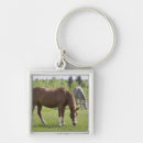 Pesquisar por agricultura chaveiros Cavalo