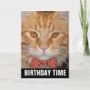 Pesquisar por gato alaranjado cartoes Aniversário