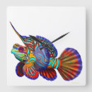 Pesquisar por água salgada relogios de parede Aquário