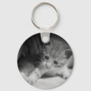 Pesquisar por fluffy chaveiros Gatinho
