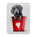 Pesquisar por do dachshund imas Amor