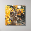 Pesquisar por wildlife impressão de canvas Deer