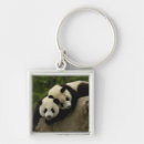 Pesquisar por porcelana chaveiros Urso