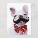 Pesquisar por bigode cartoes postais Buldogue
