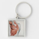 Pesquisar por muscular chaveiros Músculo