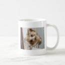 Pesquisar por yorkie canecas Cachorrinho