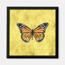 Pesquisar por monarca imas Borboleta de monarca