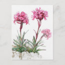 Pesquisar por bolsas cartoes postais Aquarela