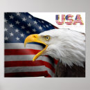 Pesquisar por bandeira dos estados unidos pósteres Águia careca