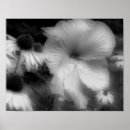 Pesquisar por alto contraste pôsteres pósteres Natureza