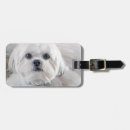 Pesquisar por shih tzu acessorios Brinquedo