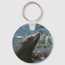 Pesquisar por selo animal chaveiros Mar