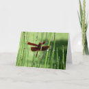 Pesquisar por dragonfly cartoes Animal