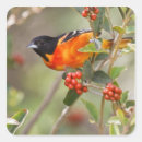 Pesquisar por baltimore adesivos Eua