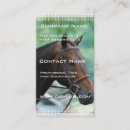 Pesquisar por warmbloods Cavalo