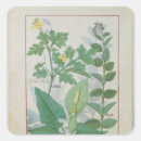 Pesquisar por medicinais adesivos Tratado