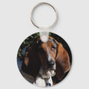 Pesquisar por basset hound chaveiros Cães