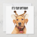 Pesquisar por cute puppy cartoes Fofofo