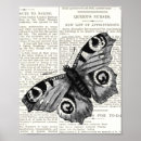 Pesquisar por borboleta vintage pôsteres pósteres Para todos