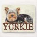 Pesquisar por filhote cachorro yorkshire terrier eletronicos Cães