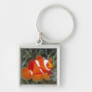 Pesquisar por nemo chaveiros Coral