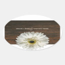 Pesquisar por margarida do gerber Gerbera