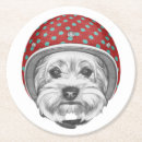 Pesquisar por yorkshire terrier porta copos Cão