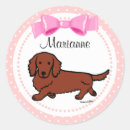 Pesquisar por dachshund adesivos Cão do wiener