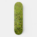 Pesquisar por grama verde skates Paisagem